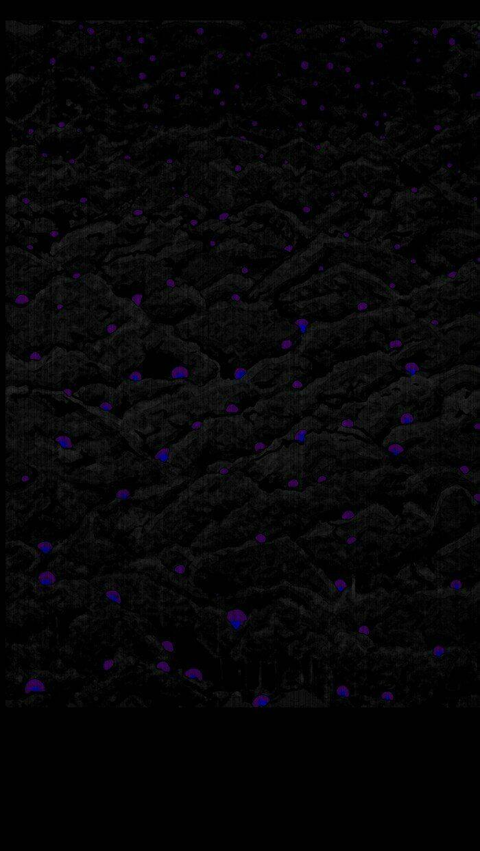 after school war activities chapter 26 27