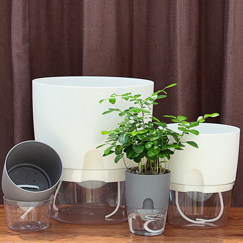 Chậu Trồng Cây Thuỷ Sinh Để Bàn - tự tưới nước cho cây. Trang trí văn phòng, bàn làm việc
