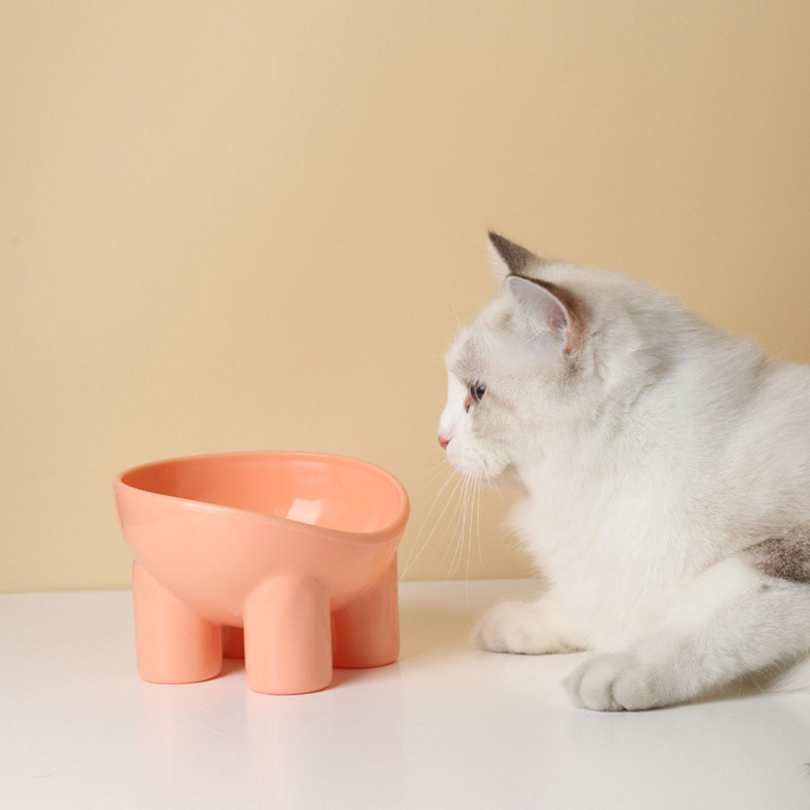 Cat Food Bowl Pet Feeding Dish Feeder Food Container Pet