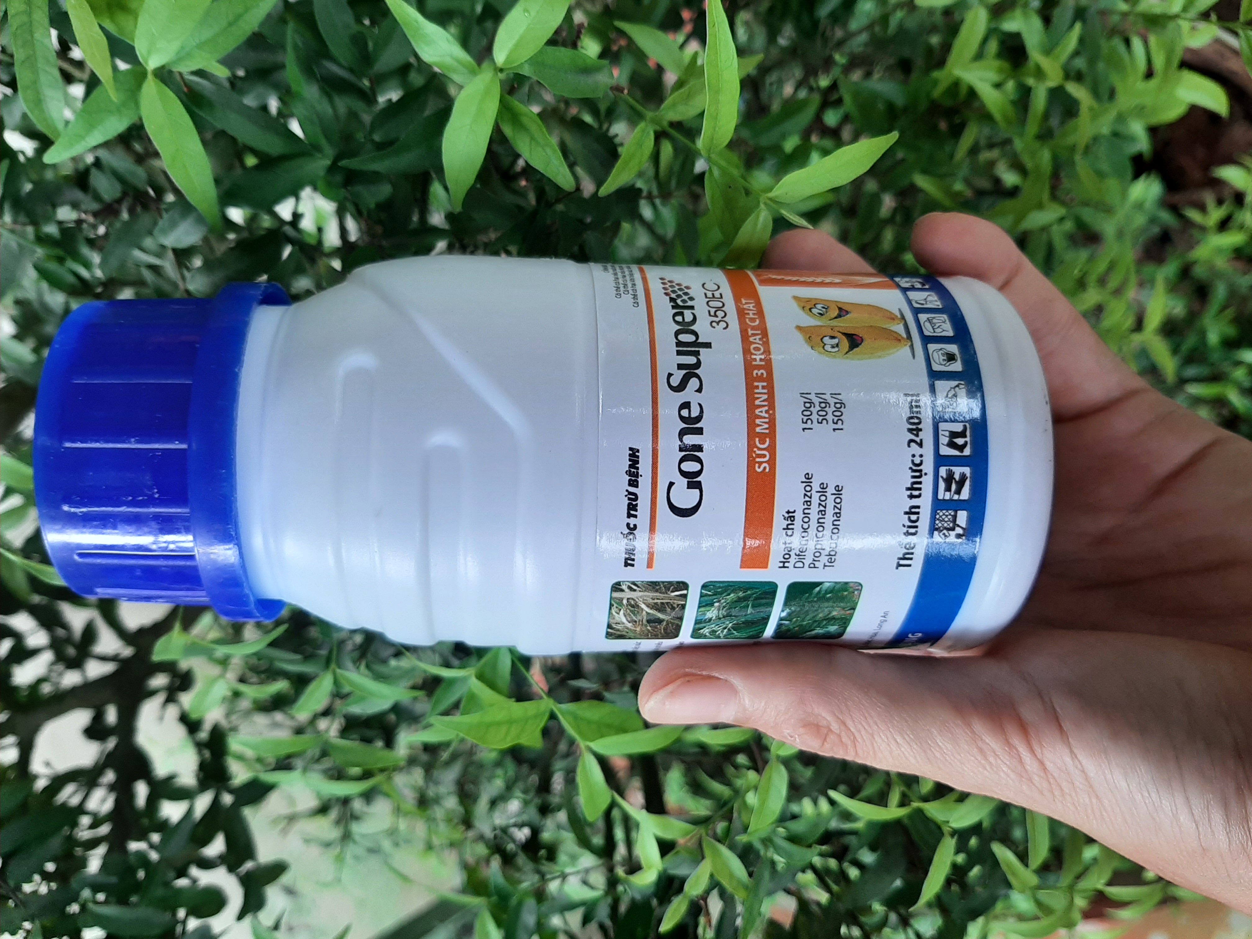 GONE SUPER 350EC thuốc trừ bệnh lem lép hạt lúa chai 240ml