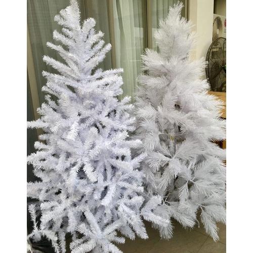 Cây thông noel màu trắng 2m - Cây cao cấp tán dày rộng - Có quà tặng kèm