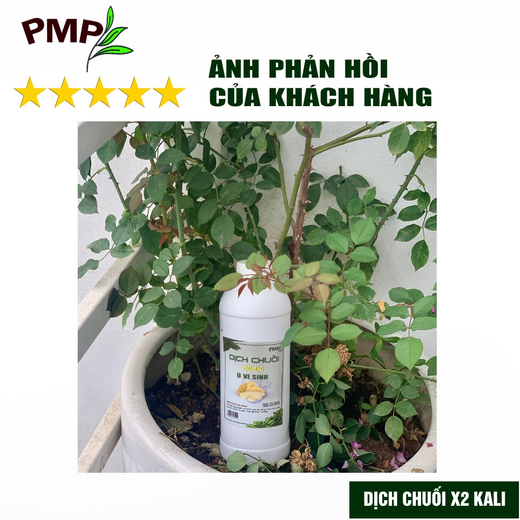 Dịch Chuối Humic PMP Vi Sinh Chuyên Dùng Cho Hoa Hồng, Hoa Lan, Rau Sạch 1000ml