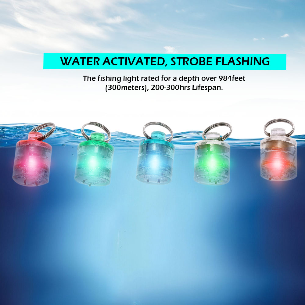 5 Phao Câu Cá Có Đèn LED
