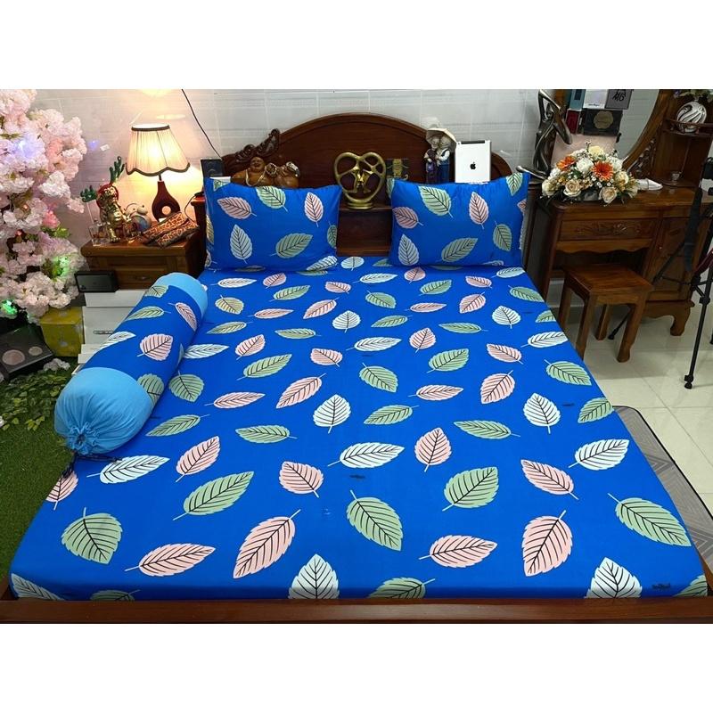 Drap thun hàn quốc