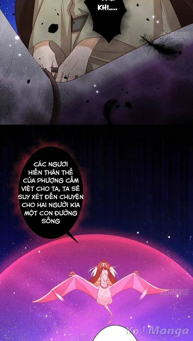 độc y cuồng phi chapter 73 7