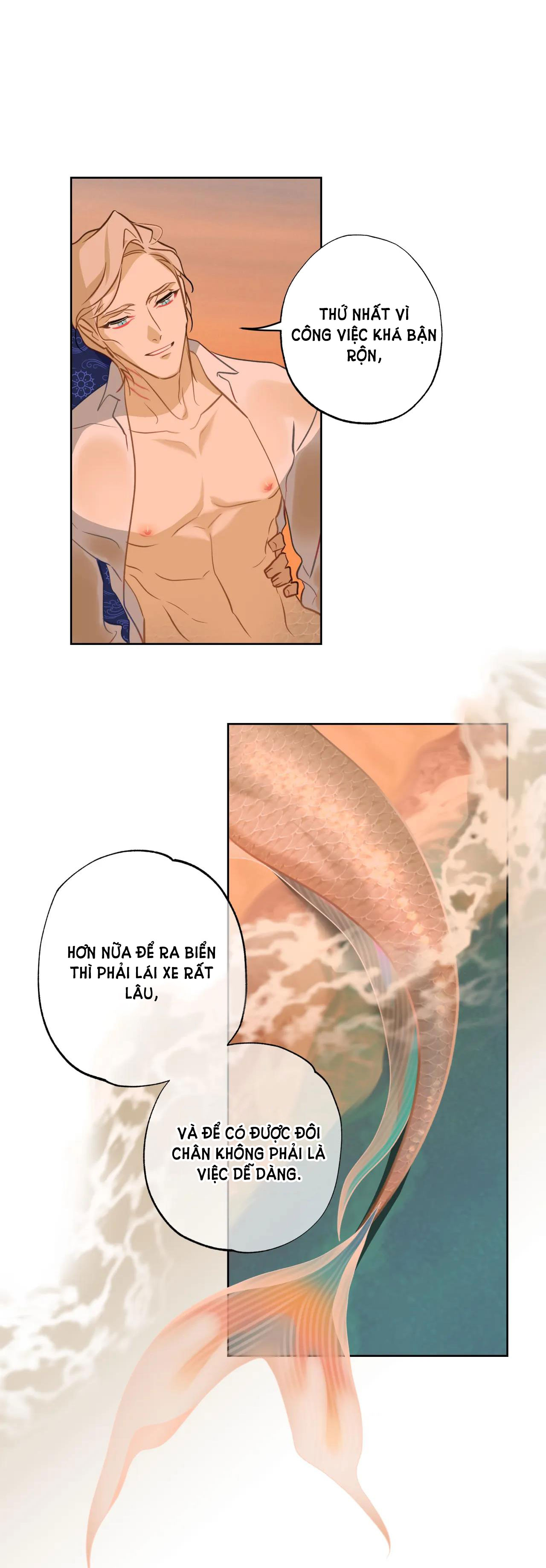 Mối Tình Đầu Của Chủ Quán Hải Sản Là Người Cá chapter 14.2 - Trang 5