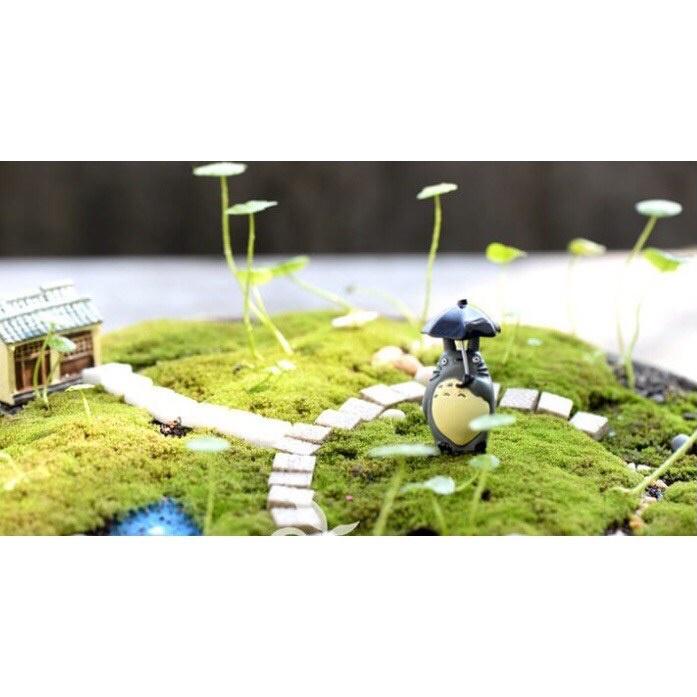 Totoro Đáng Yêu - phụ kiện làm tiểu cảnh sen đá - giao ngẫu nhiên