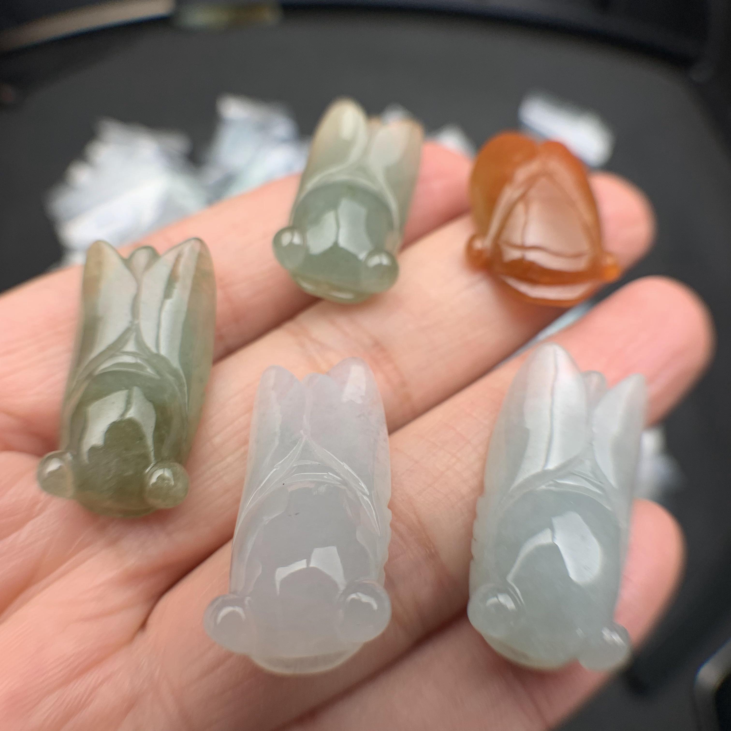 Ve sầu ngọc phỉ thúy tự nhiên Jadeite A