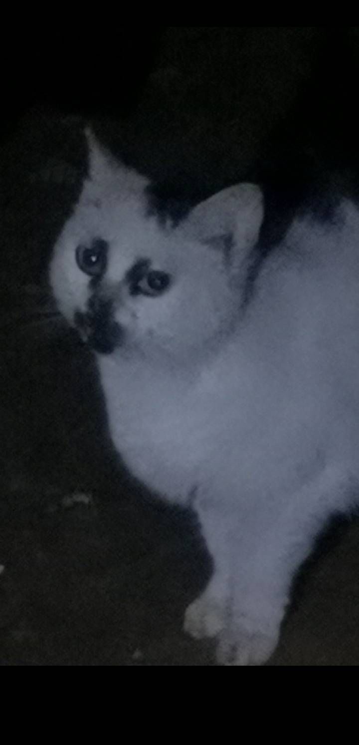 hệ thống nghịch tập thiên hậu chapter 14 4