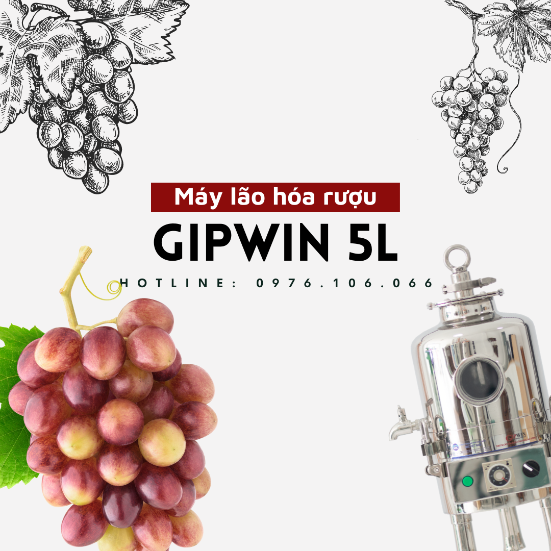 Máy lão hoá rượu Gipwin 5L - Hàng chính hãng