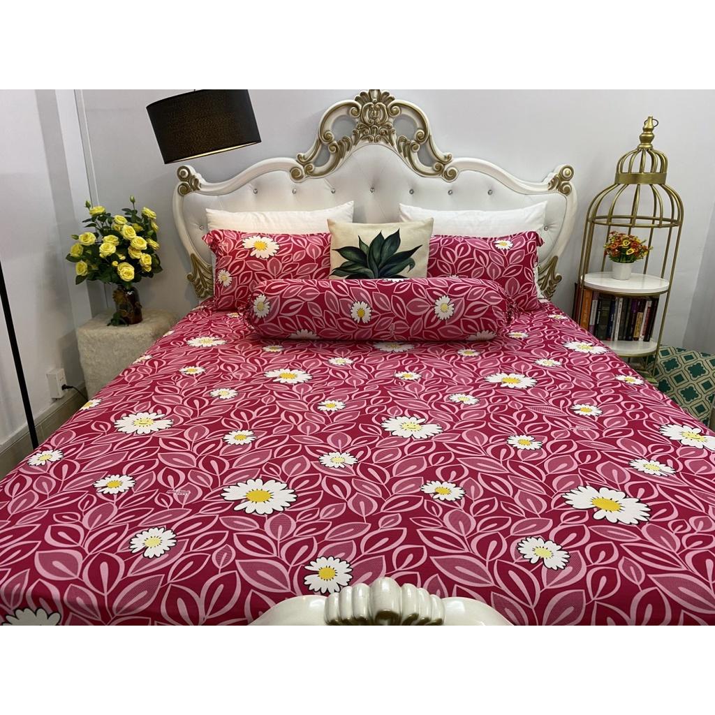 Bộ Drap Thun Hàn Quốc Mát Lạnh Cực Hot ĐỦ SIZE.