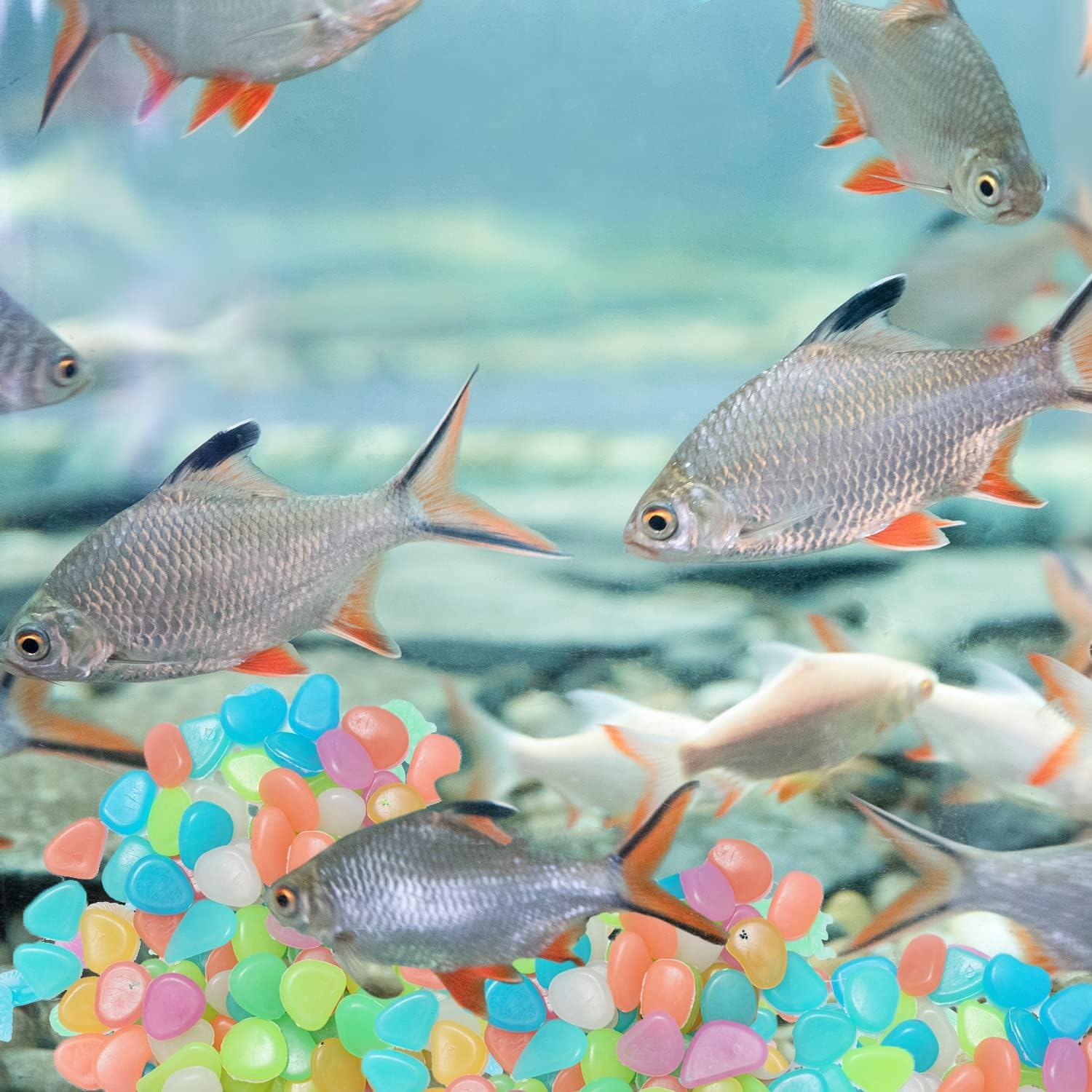 100 Viên Đá Phát Sáng, Sỏi Phát Sáng Nhiều Màu Sắc, Đá Trang Trí Vào Ban Đêm Cho Sân Vườn Ngoài Trời Bể Cá Lối Đi Bể Con Đường Bãi Cỏ