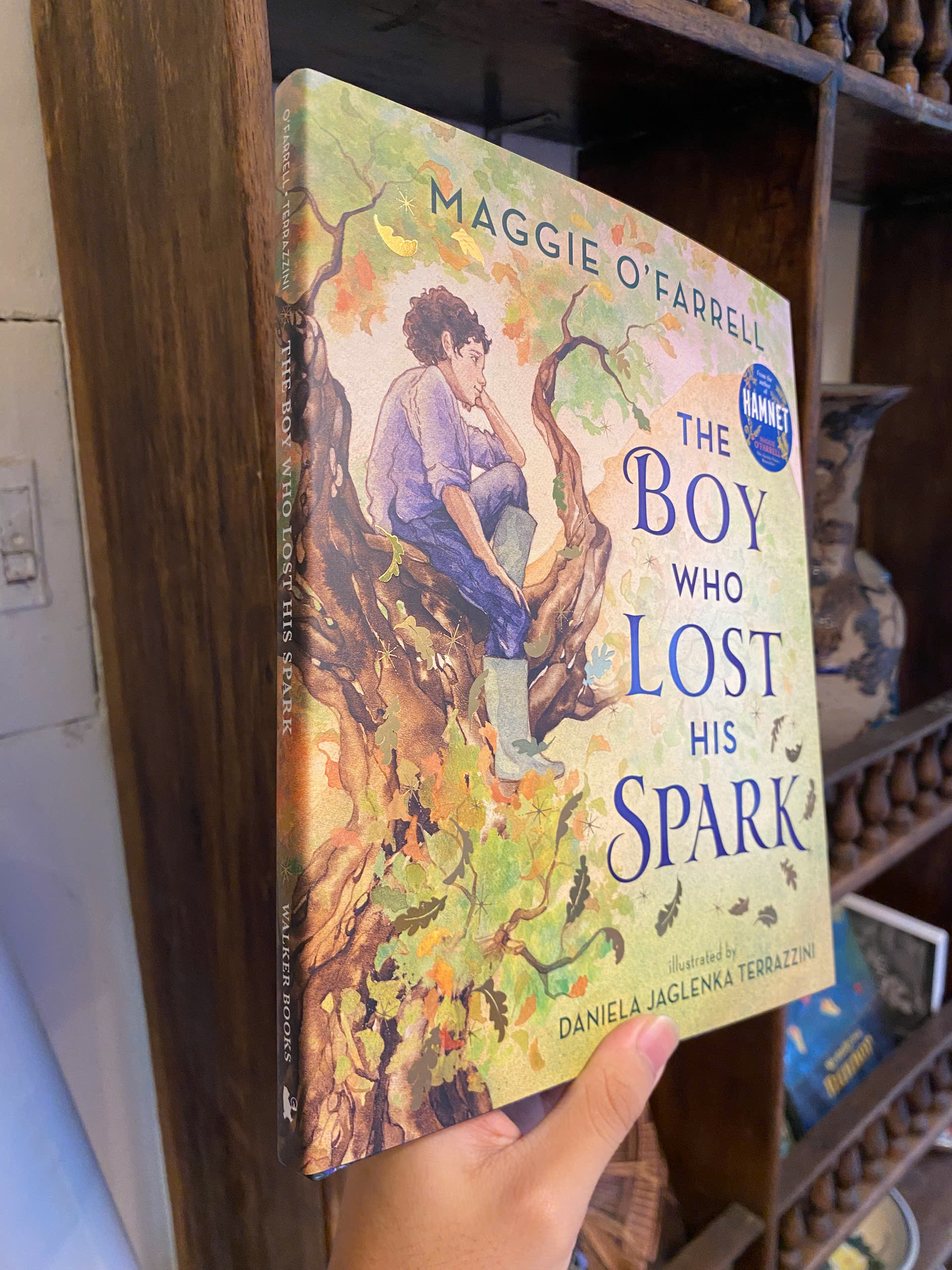 Sách - The Boy Who Lost His Spark by Maggie O'Farrell | English Book for Children / Ngoại văn