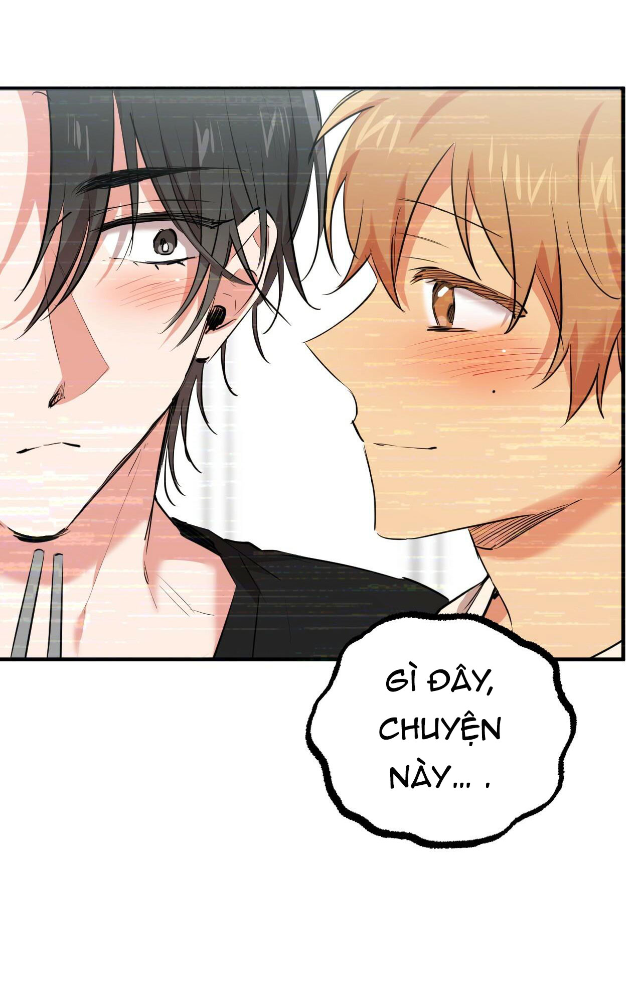 những chú thỏ của hapypy chapter 34 25