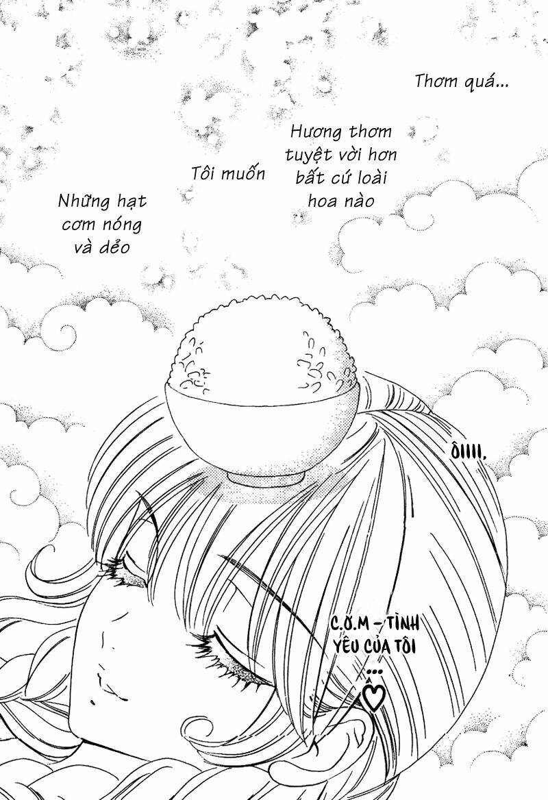 hoa hồng đỏ chapter 1 3