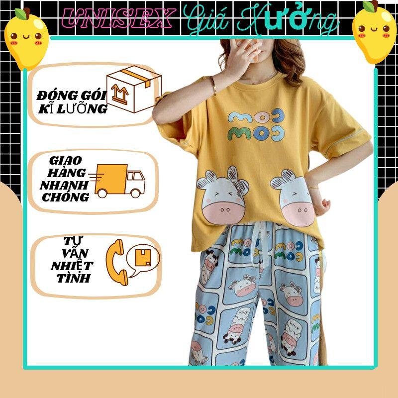 Đồ bộ thun quần dài, đồ mặc ở nhà ,Đồ Bộ Pyjama Dài Tay, Đồ Ngủ Mặc Nhà Pizama , họa tiết hoạt hình bò sữa Comcom dễ thương