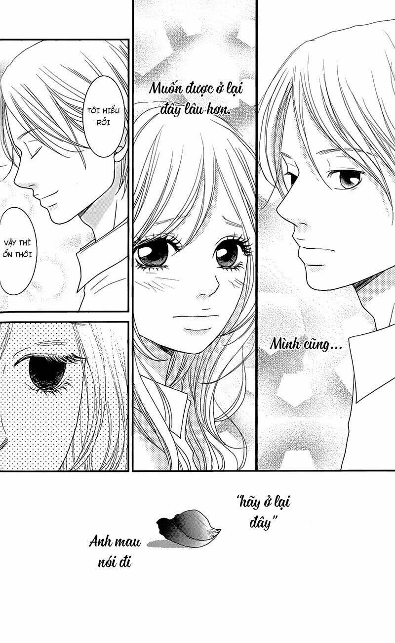 đóa hoa năm ấy chapter 1 41