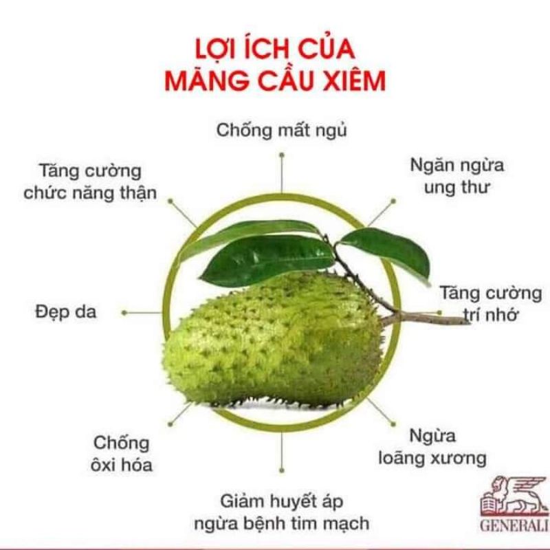 CÂY GIỐNG MÃNG CẦU XIÊM GHÉP SIÊU SỚM
