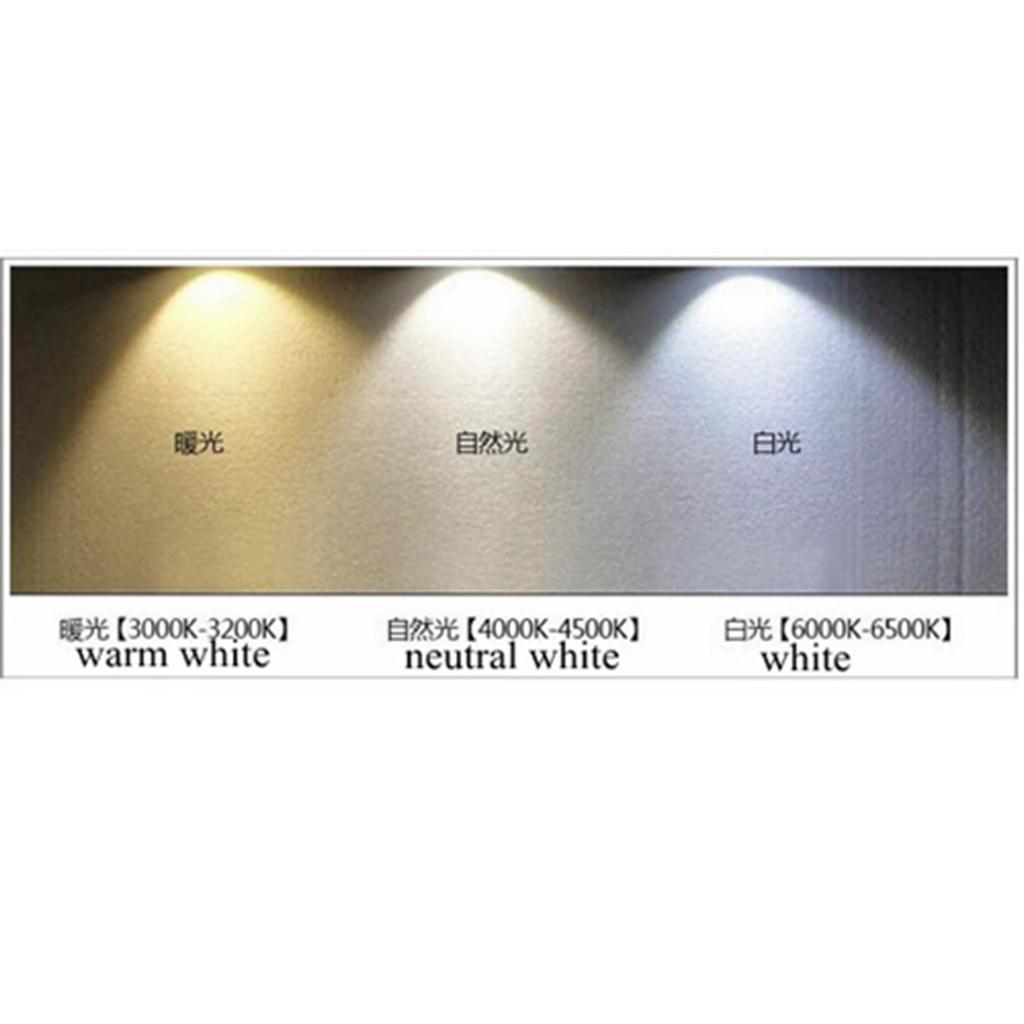 12V 3W Boat LED  Interior Reading Light Wall Lamp