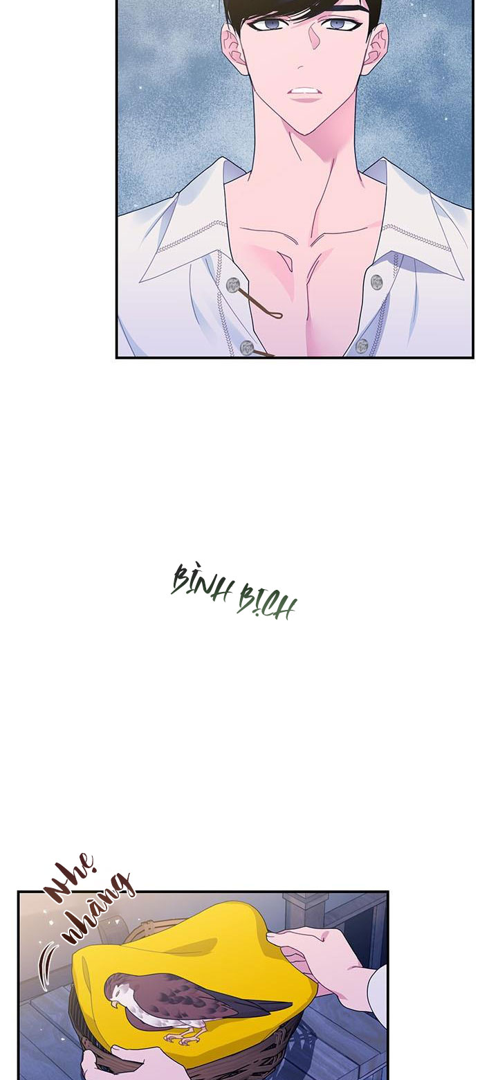 công chúa của loài chim chapter 52.1 6