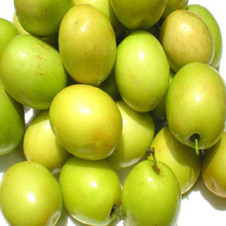 Cây giống Táo Đào Vàng cây giống chuẩn hàng F1 sai quả, năng suất cao