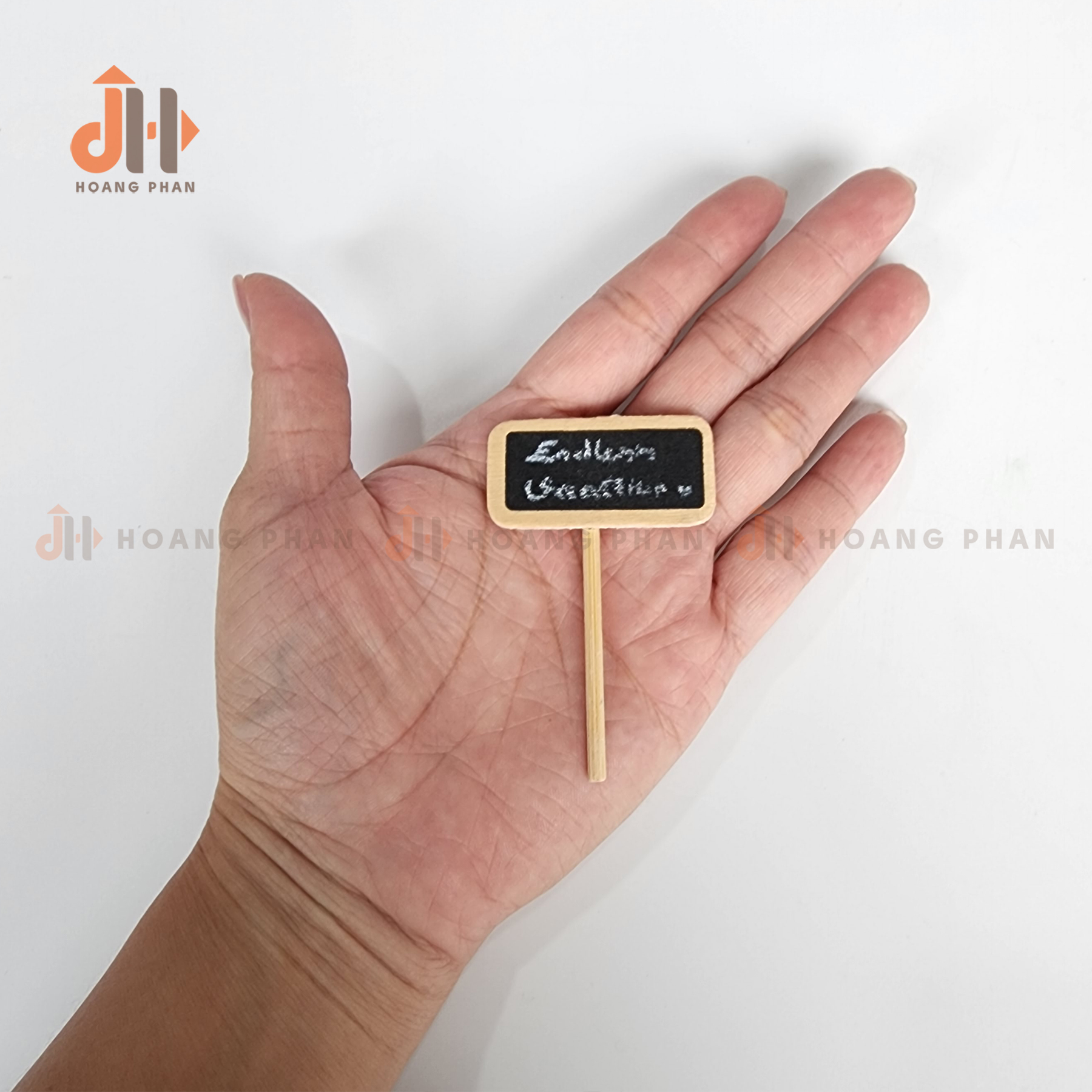Trụ xương rồng lục giác vĩnh cửu trang trí