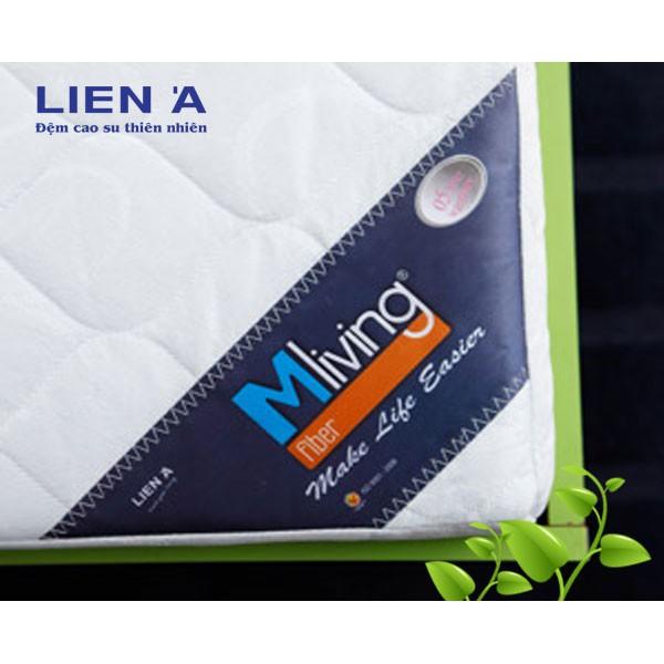 Nệm bông ép  Mliving Fiber 1M55X2MX10CM