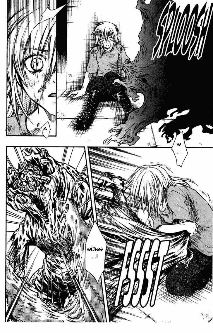 variante chapter 12 14