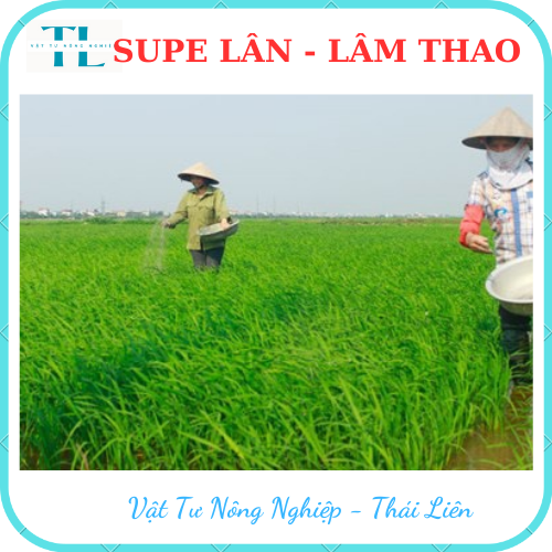 [1Kg] Phân Bón Supe Lân LÂM THAO Giúp Cây Trồng  Phát Triển Bộ Rễ, Hình Thành Mầm Hoa, Đẻ Nhánh