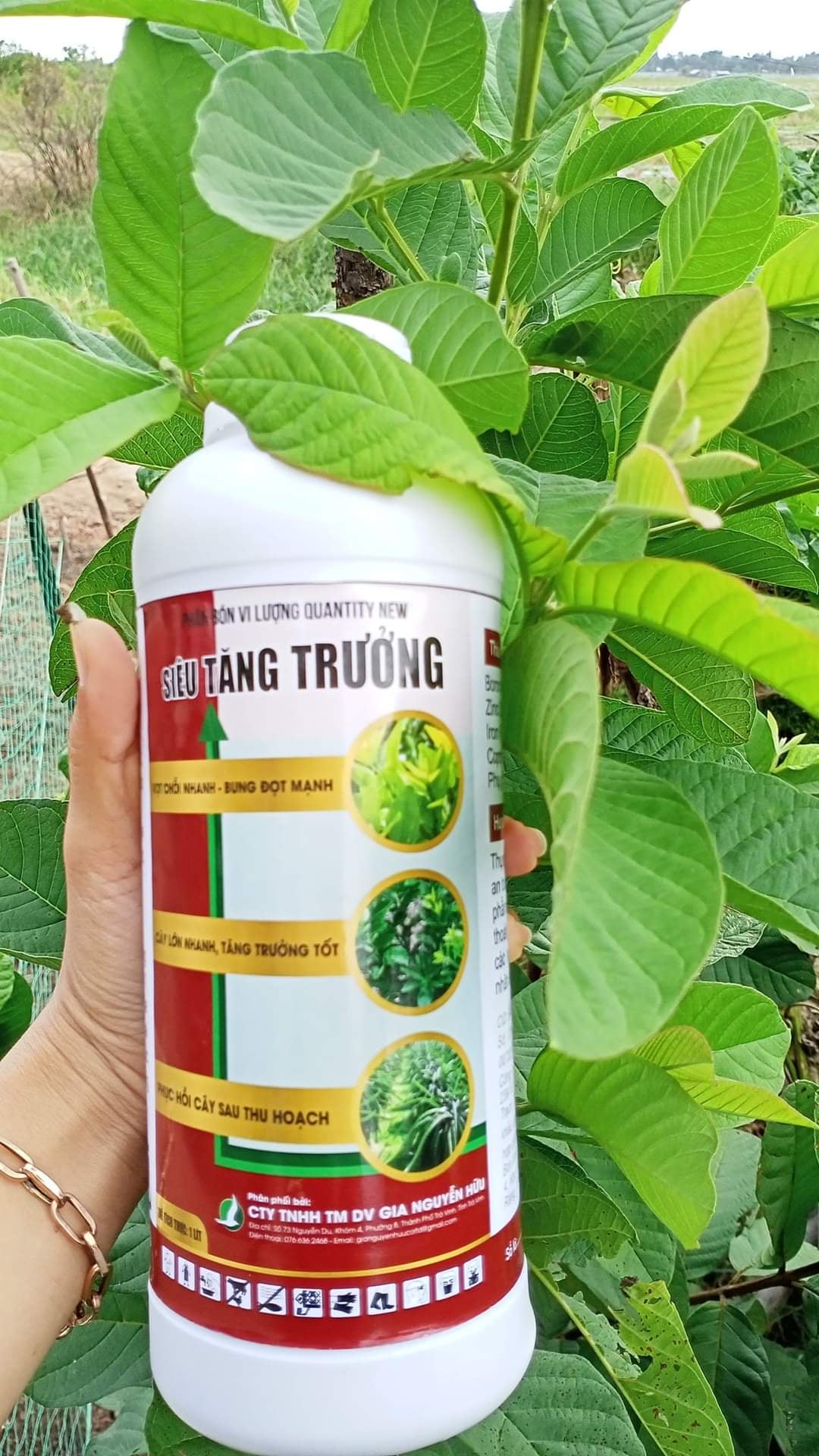 PHÂN BÓN SIÊU TĂNG TRƯỞNG - SIÊU BUNG ĐỌT, DƯỠNG CÂY, TĂNG SINH TRƯỞNG CHAI 1 LÍT