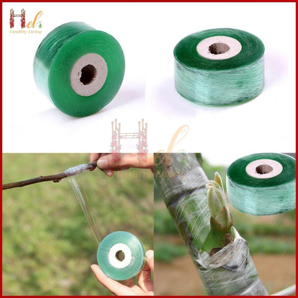 Băng Keo Ghép Cành, Chiết Cành Tự Dính Tự Hủy Rộng 2cm Dài 100m