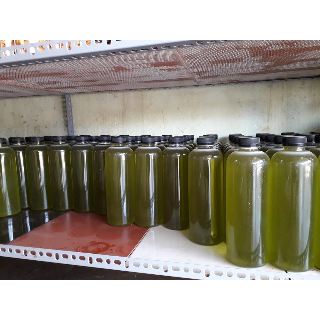 MẬT ONG HOA BẠC HÀ 100% NGUYÊN CHẤT . HSD 2 NĂM