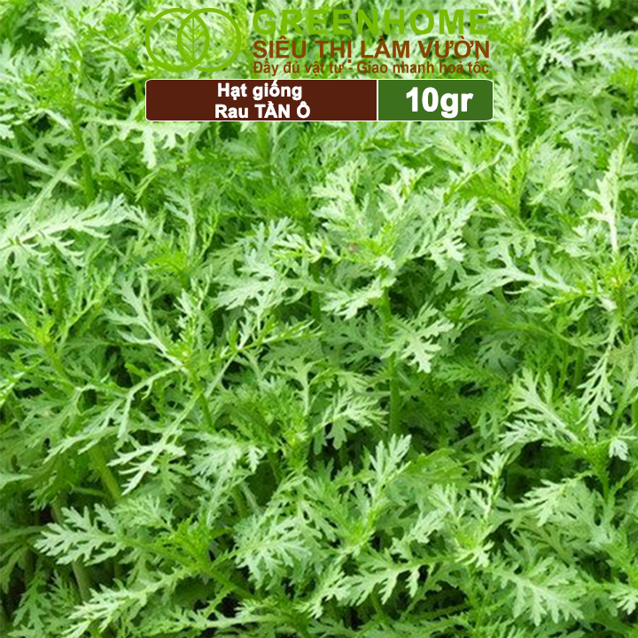 Hạt Giống Rau Tần Ô Greenhome, Gói 10g, Cải Cúc Dễ Trồng, Thu Hoạch Nhanh R02