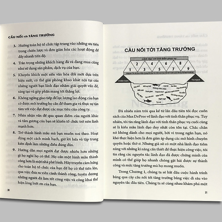 Cầu Nối Tới Tăng Trưởng - ML