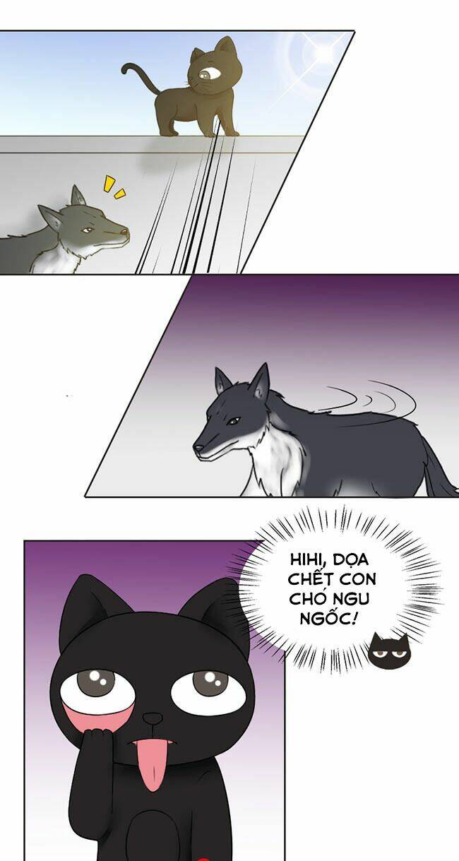 tổng tài ma cà rồng tha cho tôi chapter 23 4