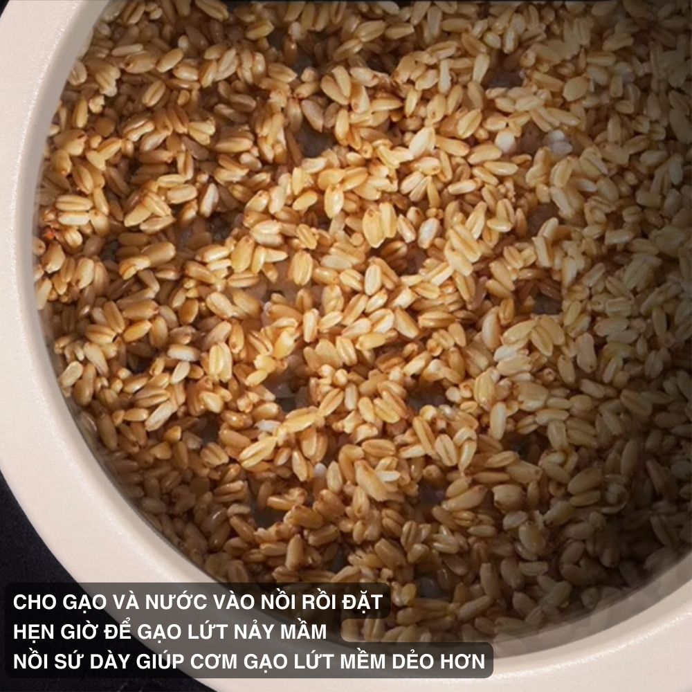 Nồi Cơm Điện Lòng Sứ 1.8Lít Mishio MK402 Không Bong Tróc Men Chống Dính Tự Nhiên - hàng chính hãng