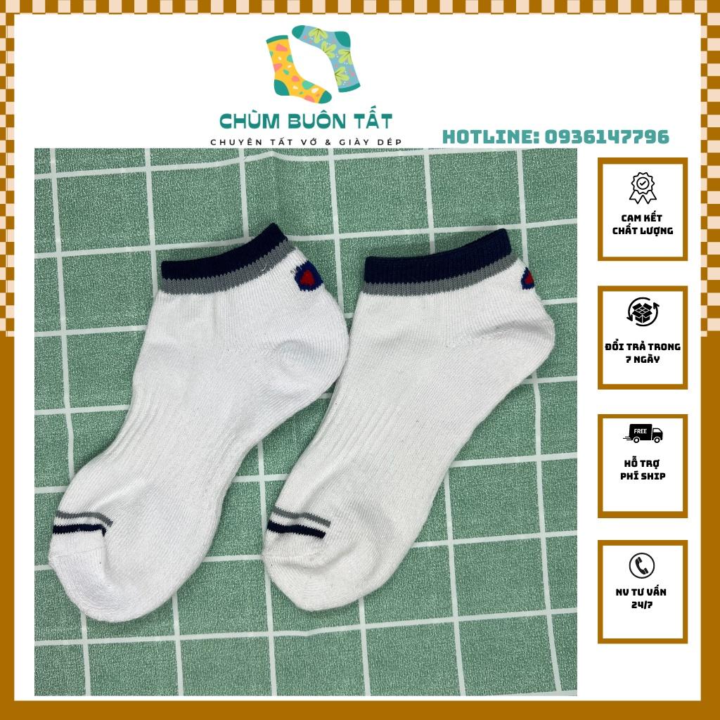 Tất cổ ngắn nam nữ chất vải cotton màu trắng cổ xanh thấm hút mềm mại - Chùm buôn tất h20