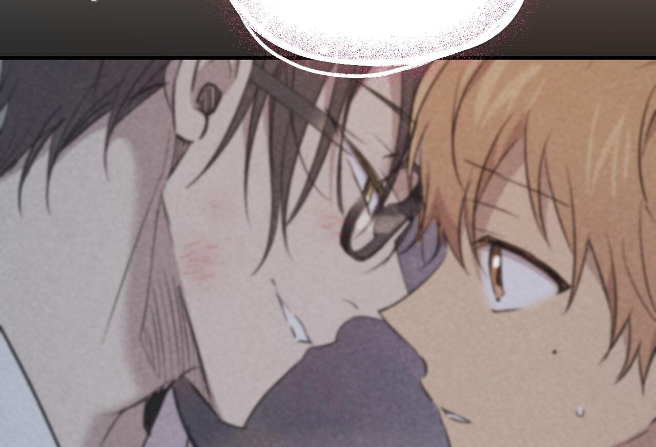 những chú thỏ của hapypy chapter 61 205