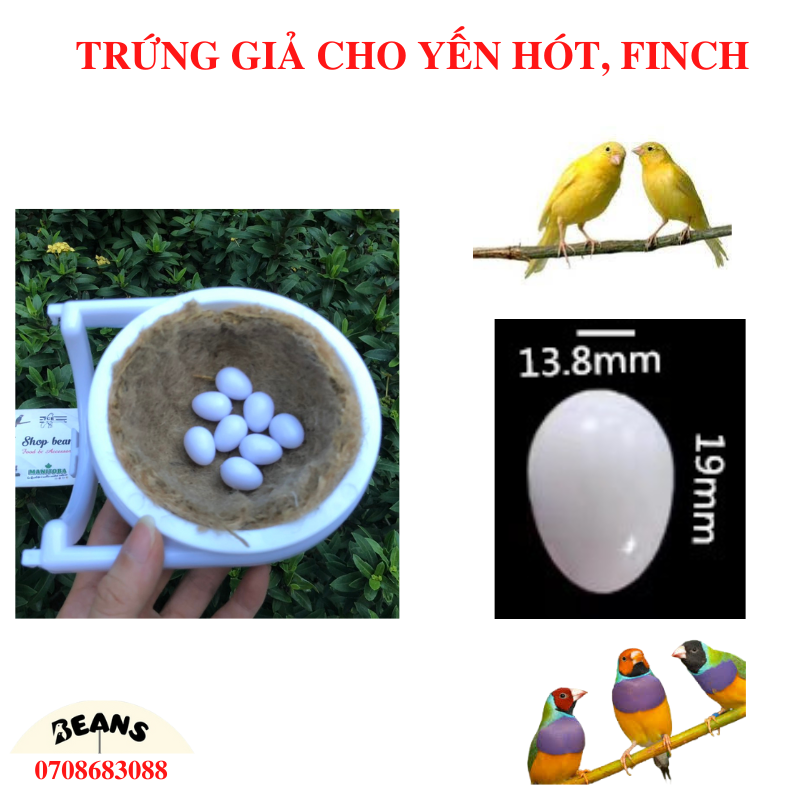 Tổ tre cho chim yến hót