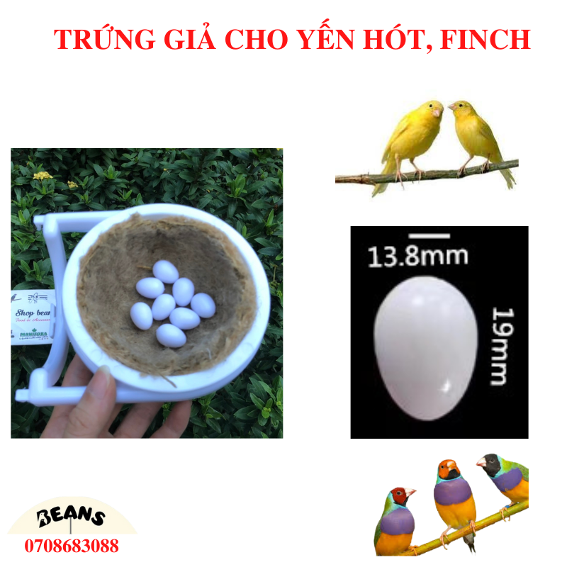 Tổ chim tự nhiên được làm bằng thủ công trang trí avi thêm đẹp sinh động nhiều mẫu