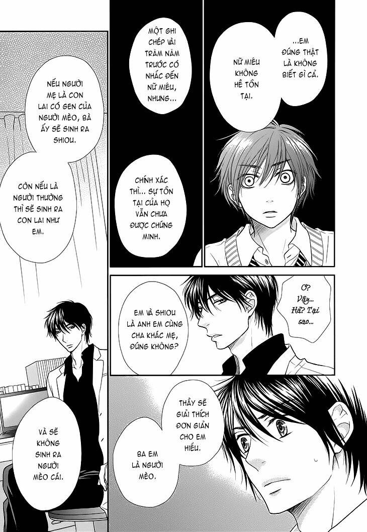 nekoka danshi no shitsukekata chapter 12 13