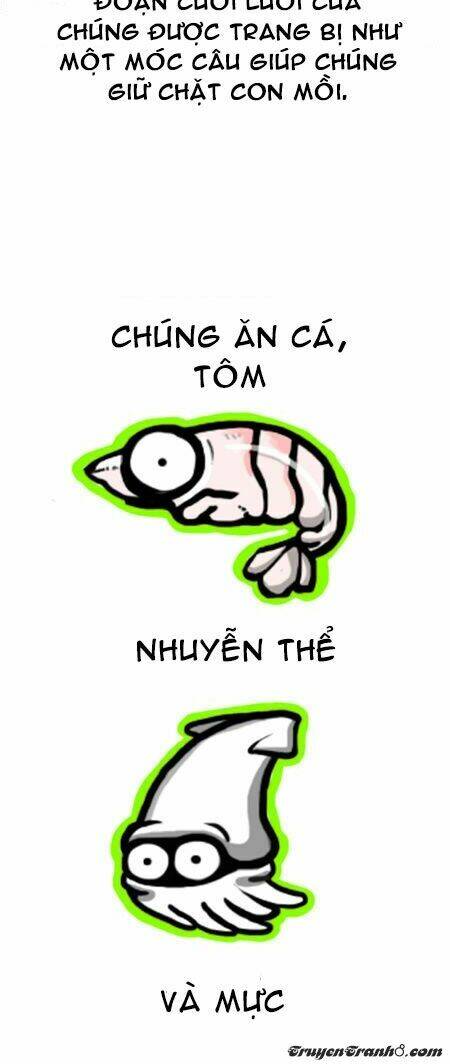 earth, human, and animal chapter 7 7