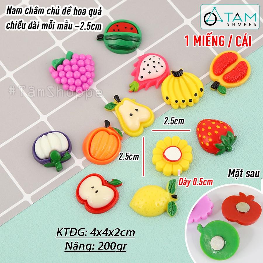 Nam châm hít tủ lạnh mô hình trái cây HTL-08