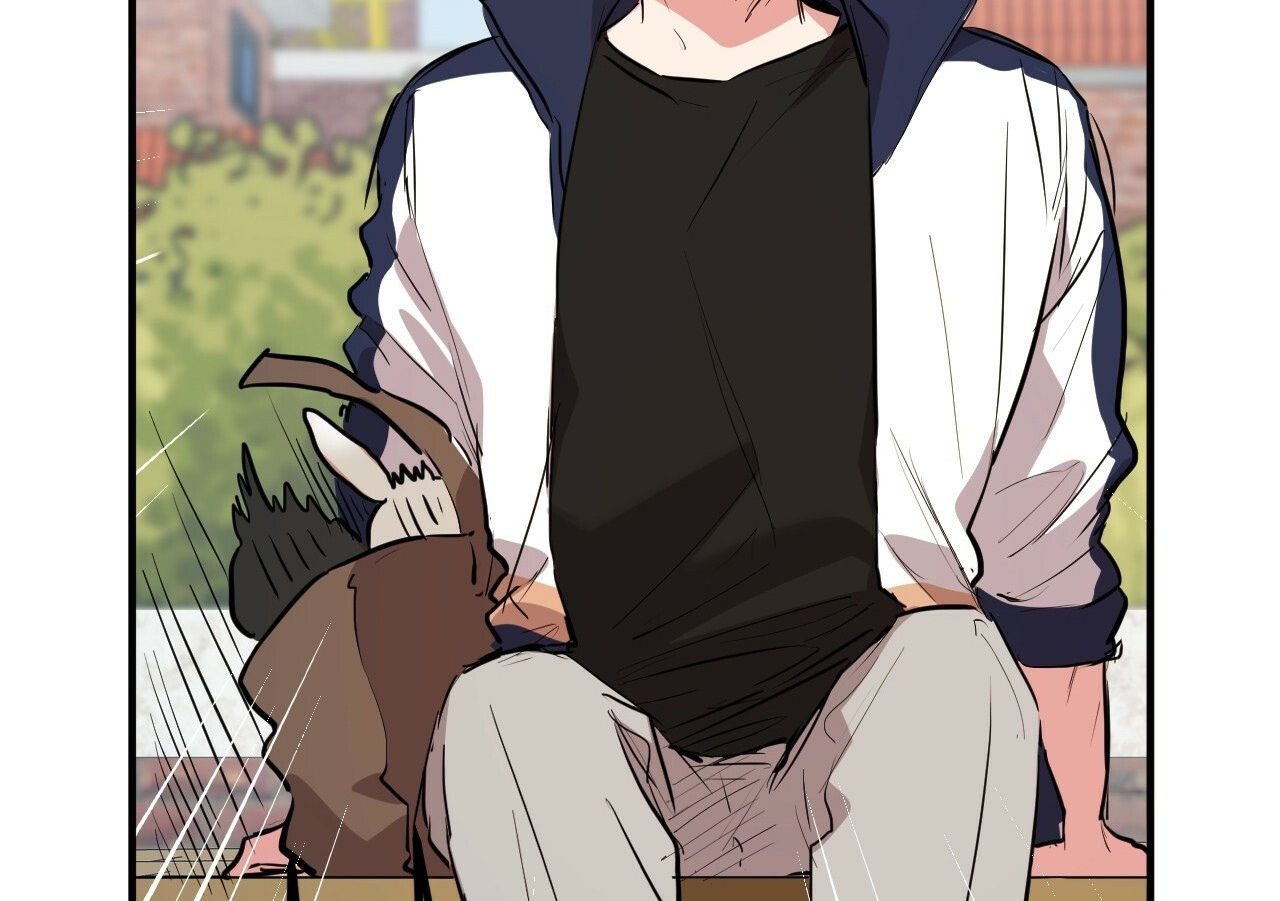 đàn thỏ của habibi chapter 19 124