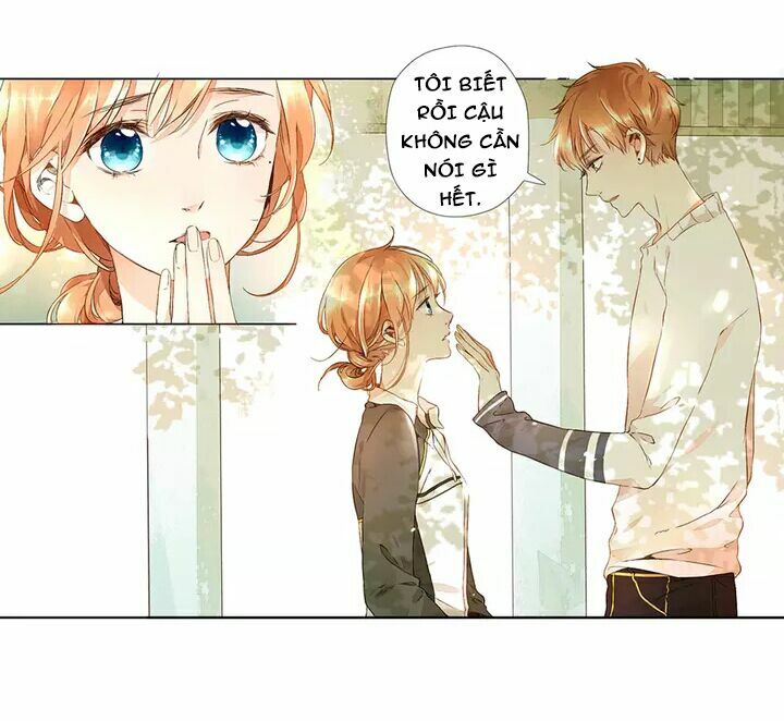 Tình yêu là màu hoa anh thảo chapter 16.3 2