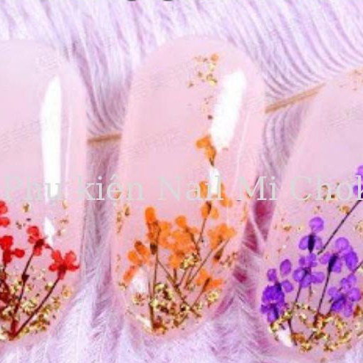 Hoa khô chùm trang trí nail