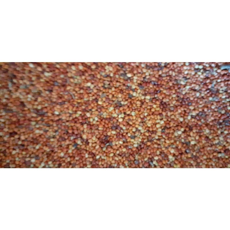 500 gram hạt muồng vàng nhỏ