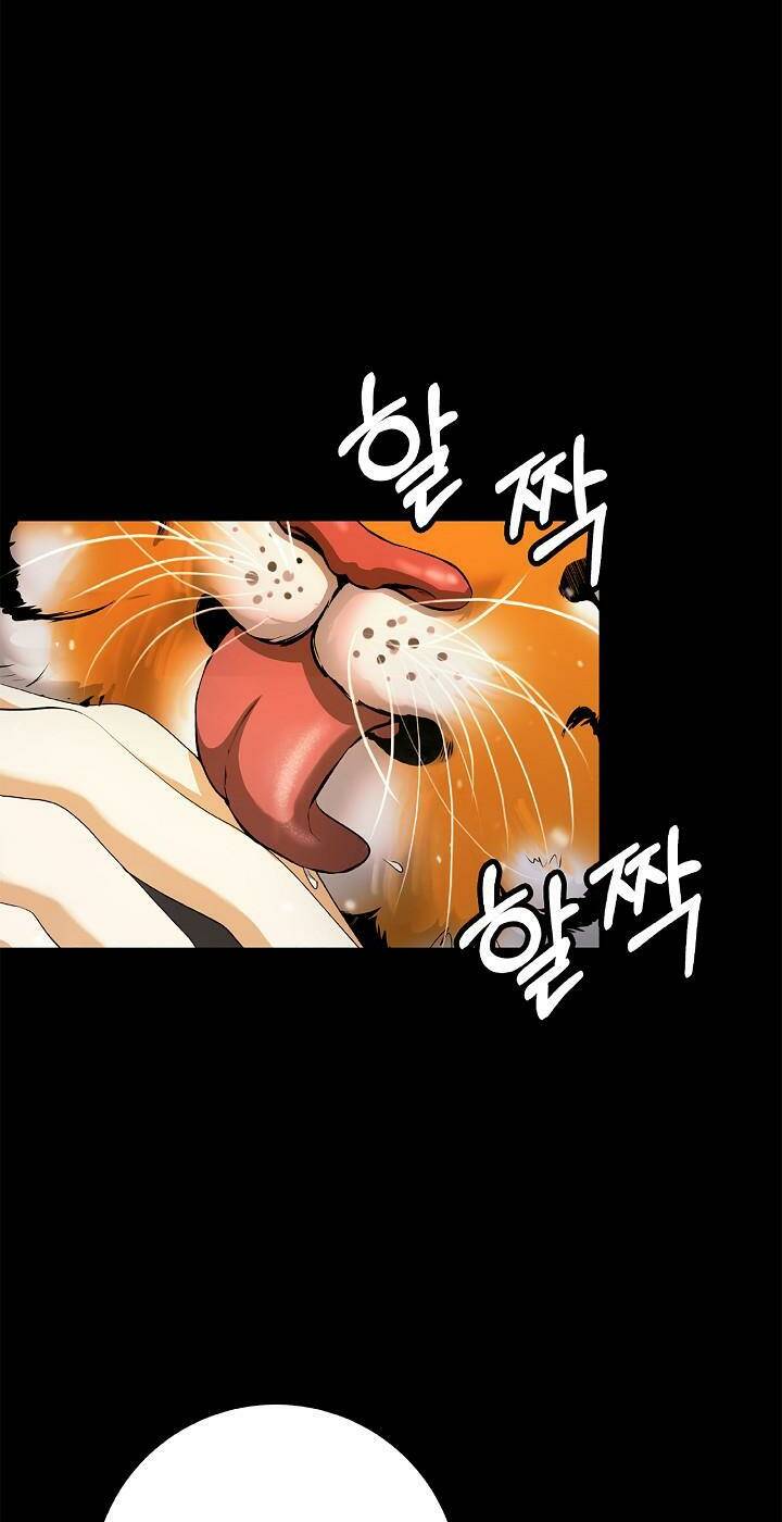 xuyên không thành hổ chapter 123 43