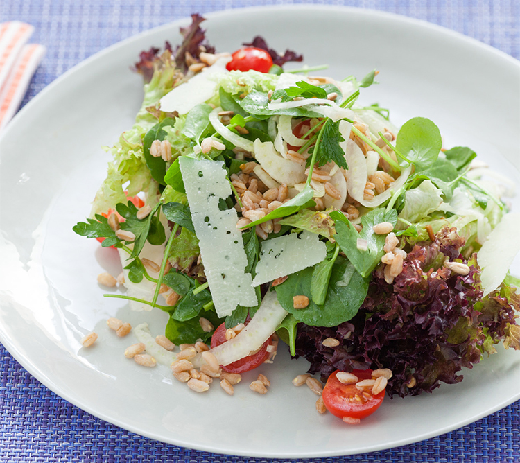 Bộ 2 Gói Hạt Giống Xà Lách Tím Lollo Rossa Phú Nông PN131981