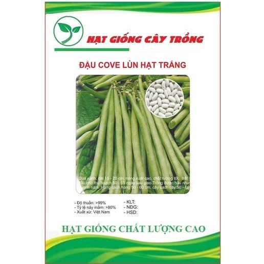 Hạt giống đậu cove hạt trắng dạng bụi CT146 - Gói 10gram